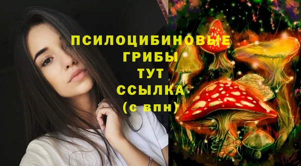 гашиш Нягань