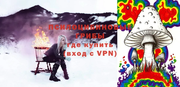 таблы Няндома